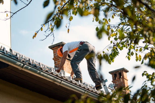 Best Roof Ventilation Installation  in Beverly Hills, FL